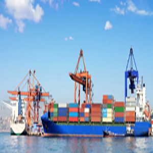 REVISED IMPORT GUIDELINES TO NIGERIA